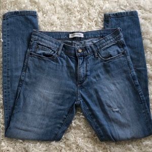 Banana Republic Premium Denim